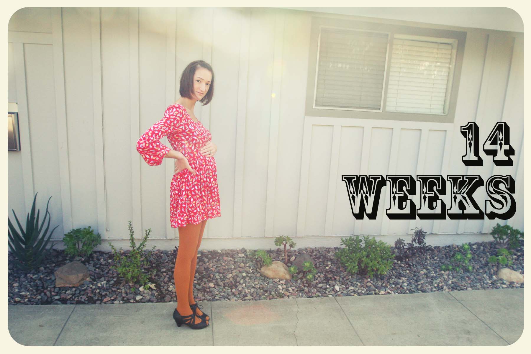 14weeks