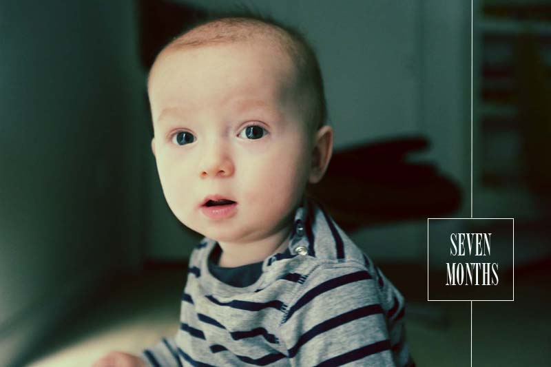 sevenmonthsold5