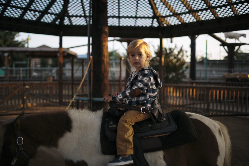 Pumpkin Patch At Pierce College free download programs