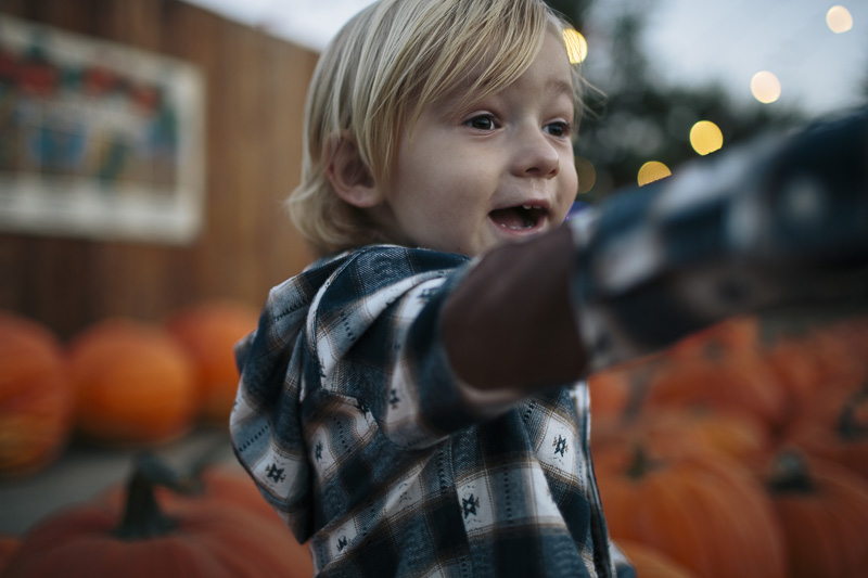 Pumpkin Patch At Pierce College free download programs